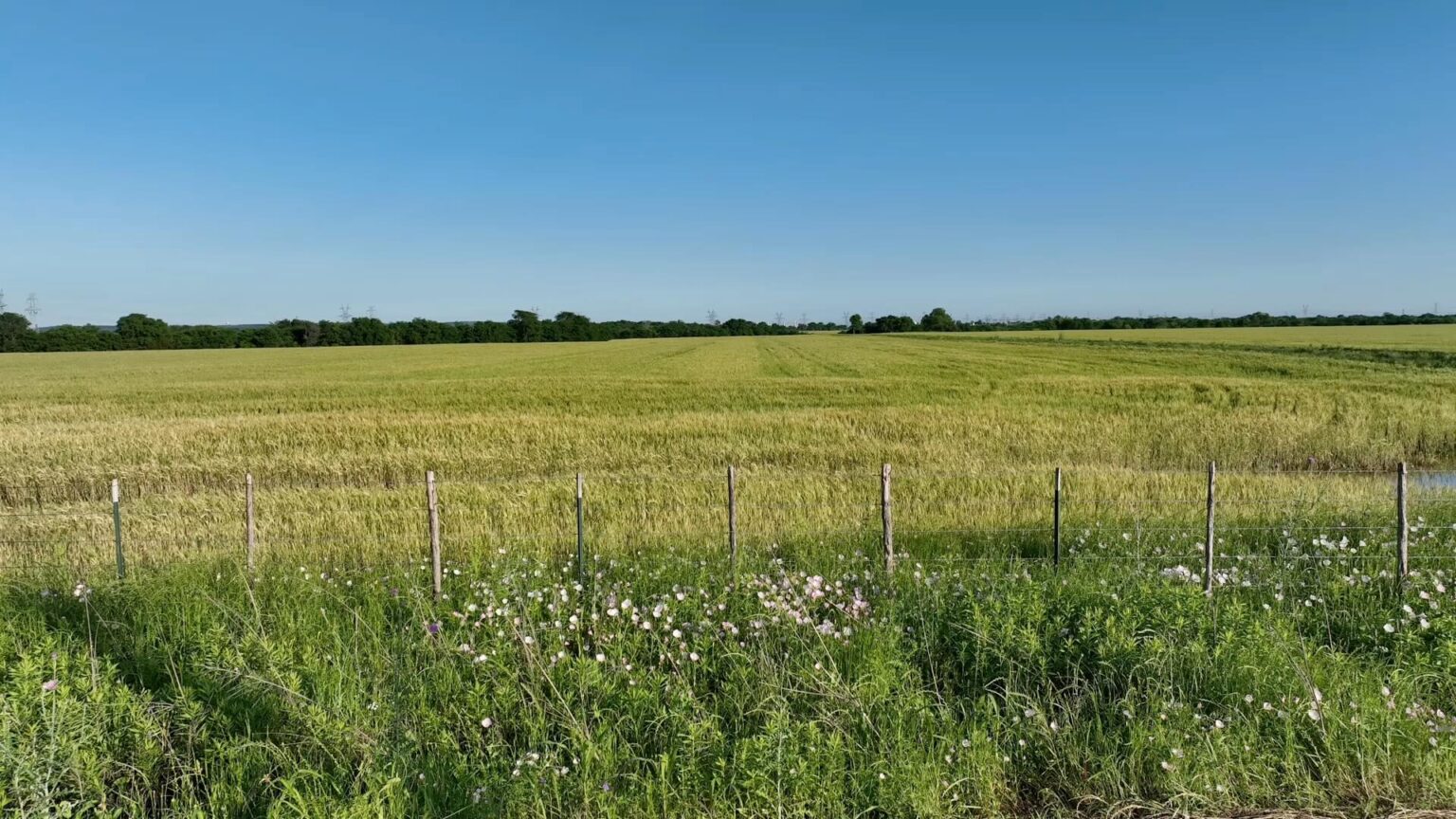 Goodland | New Homes near Mansfield, TX